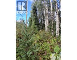 23336 Howells Road, Topley, BC V0J2N0 Photo 10