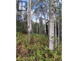 23336 Howells Road, Topley, BC V0J2N0 Photo 15