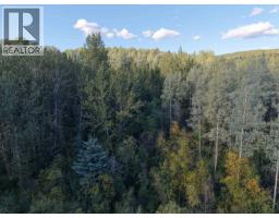 23336 Howells Road, Topley, BC V0J2N0 Photo 21