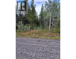 23512 Howells Road, Topley, BC V0J2N0 Photo 6