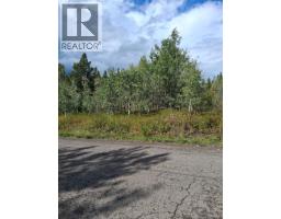 23512 Howells Road, Topley, BC V0J2N0 Photo 11