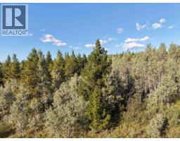 23512 Howells Road, Topley, BC V0J2N0 Photo 19