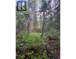 23512 Howells Road, Topley, BC V0J2N0 Photo 13