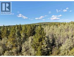 23512 Howells Road, Topley, BC V0J2N0 Photo 20