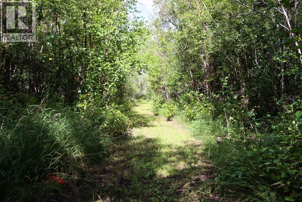 72365 Highway 49 - Image 10