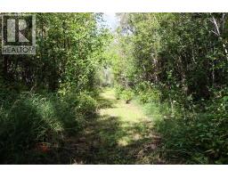Laundry room - 72365 Highway 49, Rural Greenview No  16, M D  Of, AB T0H3N0 Photo 10