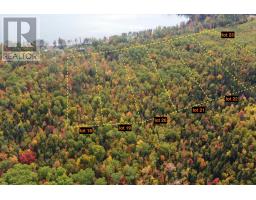 Lot 21 Black Lake Road, Black Lake, NS B0M1X0 Photo 9