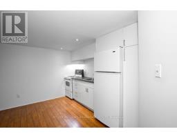 Lower - 325 Perth Avenue, Toronto, ON M6P3X9 Photo 12
