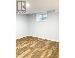 Laundry room - Lower - 43 Kanata Crescent, Brantford, ON N3R7E8 Photo 6