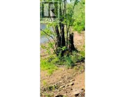 19 Popal Grove Lane, Youngs Cove, NB E4C2C5 Photo 13