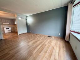 314 Bridge Street W, Virden, MB R0M2C0 Photo 8