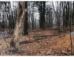 5055 Cherry Street, Whitchurch Stouffville, ON L4A3K9 Photo 8