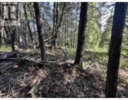 Lot 103 Julsrud Road, Deka Lake / Sulphurous / Hathaway Lakes, BC V0K1X3 Photo 11
