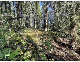 Lot 103 Julsrud Road, Deka Lake / Sulphurous / Hathaway Lakes, BC V0K1X3 Photo 12