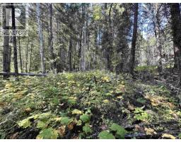 Lot 103 Julsrud Road, Deka Lake / Sulphurous / Hathaway Lakes, BC V0K1X3 Photo 13