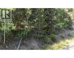 Lot 103 Julsrud Road, Deka Lake / Sulphurous / Hathaway Lakes, BC V0K1X3 Photo 14