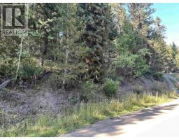 Lot 103 Julsrud Road, Deka Lake / Sulphurous / Hathaway Lakes, BC V0K1X3 Photo 6