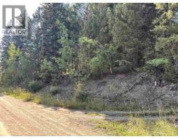 Lot 103 Julsrud Road, Deka Lake / Sulphurous / Hathaway Lakes, BC V0K1X3 Photo 7