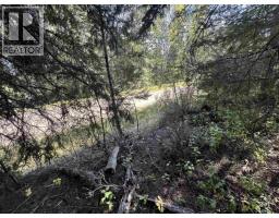 Lot 103 Julsrud Road, Deka Lake / Sulphurous / Hathaway Lakes, BC V0K1X3 Photo 8