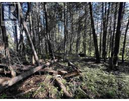 Lot 103 Julsrud Road, Deka Lake / Sulphurous / Hathaway Lakes, BC V0K1X3 Photo 9