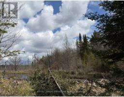 1170 Peter Road, Bracebridge, ON P1L1X3 Photo 23