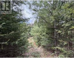 1170 Peter Road, Bracebridge, ON P1L1X3 Photo 16