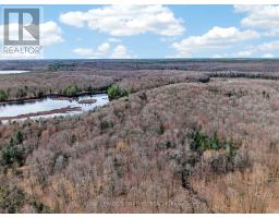 1170 Peter Road, Bracebridge, ON P1L1X3 Photo 28