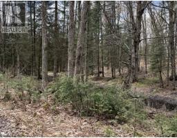 1170 Peter Road, Bracebridge, ON P1L1X3 Photo 20
