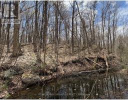 1170 Peter Road, Bracebridge, ON P1L1X3 Photo 17