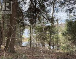 1170 Peter Road, Bracebridge, ON P1L1X3 Photo 24