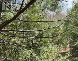 1170 Peter Road, Bracebridge, ON P1L1X3 Photo 7