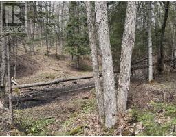 1170 Peter Road, Bracebridge, ON P1L1X3 Photo 10