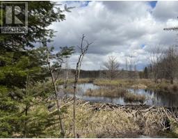 1170 Peter Road, Bracebridge, ON P1L1X3 Photo 14