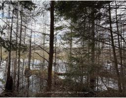 1170 Peter Road, Bracebridge, ON P1L1X3 Photo 18