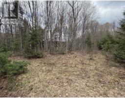 1170 Peter Road, Bracebridge, ON P1L1X3 Photo 25