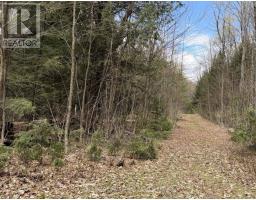 1170 Peter Road, Bracebridge, ON P1L1X3 Photo 8