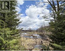 1170 Peter Road, Bracebridge, ON P1L1X3 Photo 15