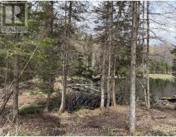 1170 Peter Road, Bracebridge, ON P1L1X3 Photo 11