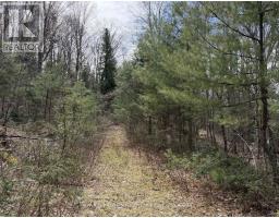 1170 Peter Road, Bracebridge, ON P1L1X3 Photo 9