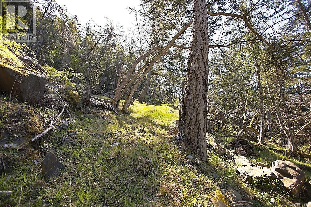  206 Narrows West Road, Salt Spring
