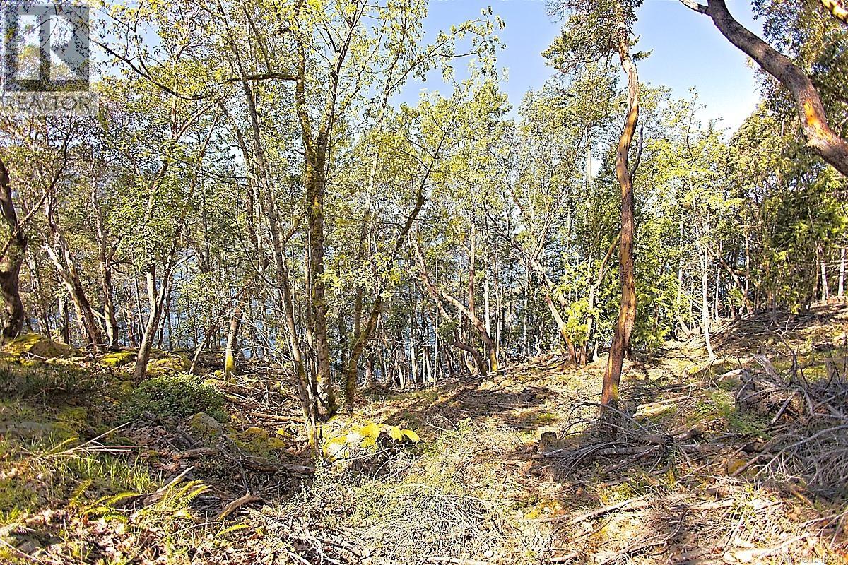  206 Narrows West Road, Salt Spring