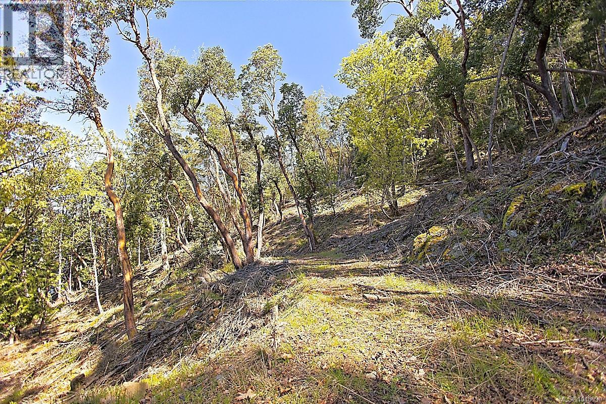  206 Narrows West Road, Salt Spring
