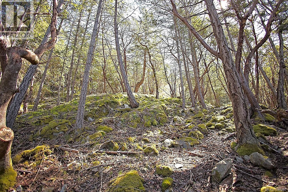  206 Narrows West Road, Salt Spring