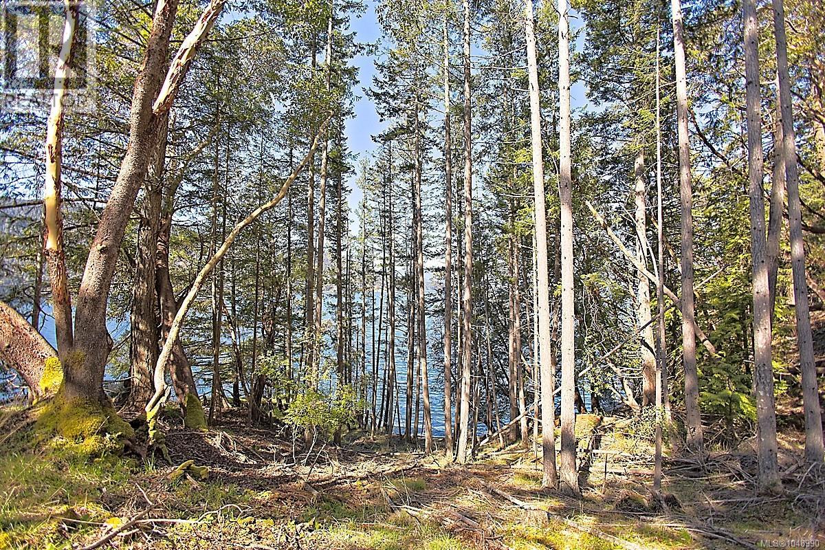  206 Narrows West Road, Salt Spring
