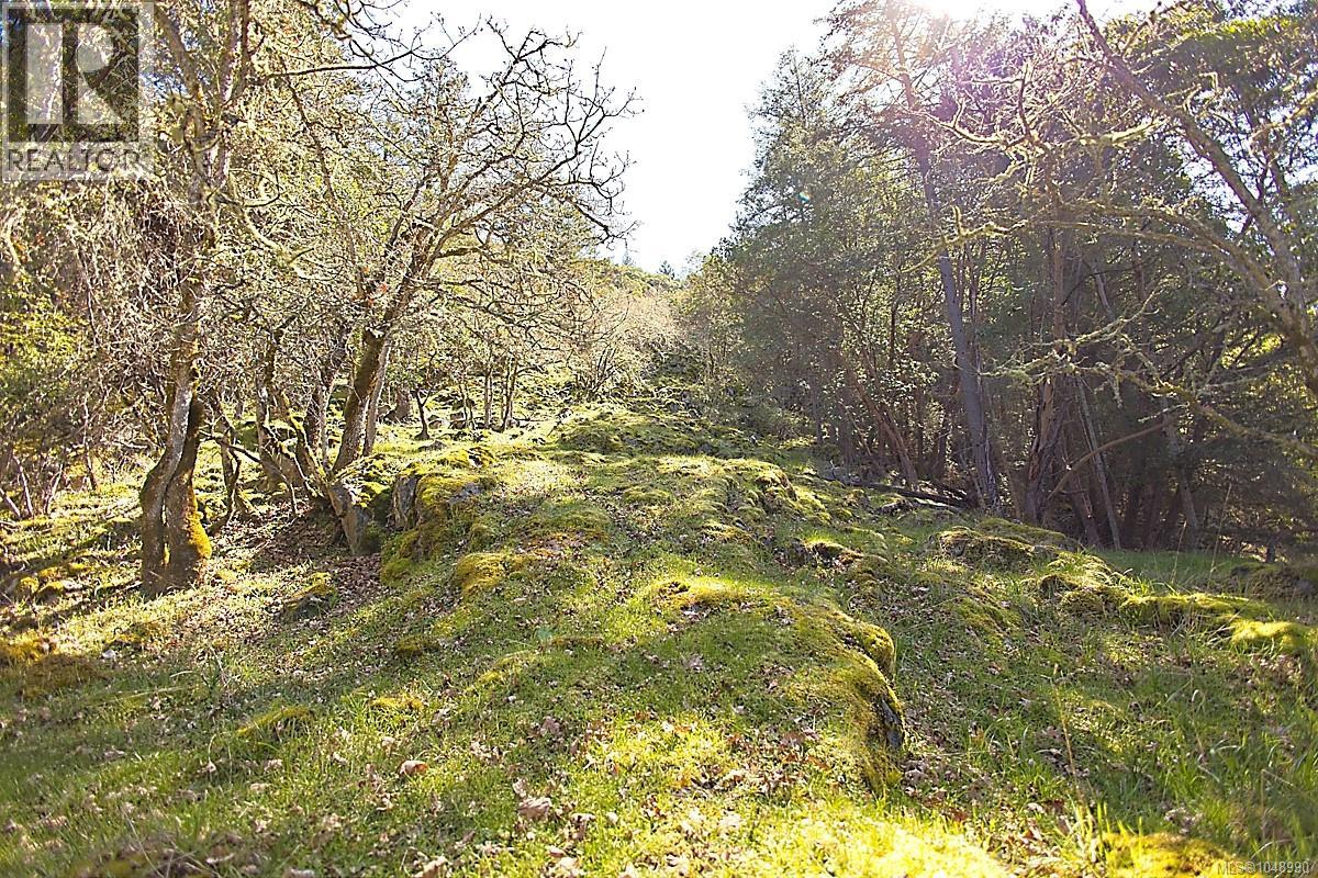  206 Narrows West Road, Salt Spring