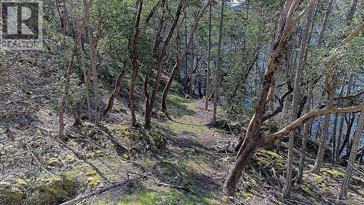 206 Narrows West Road, Salt Spring