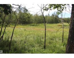 49480 Rge Rd 41, Rural Leduc County, AB T0C2T0 Photo 50