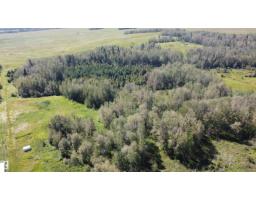 49480 Rge Rd 41, Rural Leduc County, AB T0C2T0 Photo 29