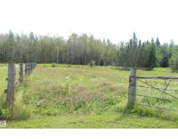 Bedroom 3 - 49480 Rge Rd 41, Rural Leduc County, AB T0C2T0 Photo 6