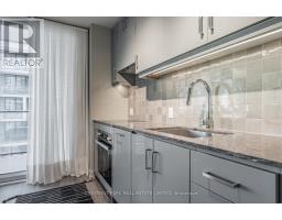 821 - 9 Tecumseth Street, Toronto, ON M5V0S5 Photo 11